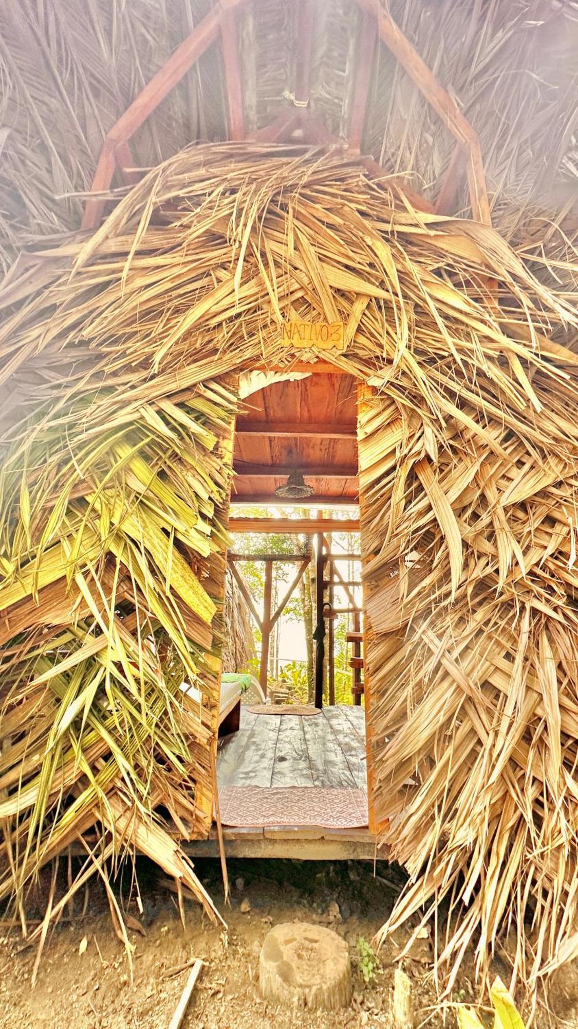 Hostelyglampingnativo Buenaventura Exterior photo